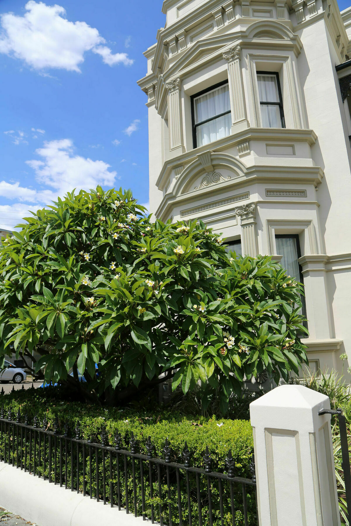 Hotel The Lurline Randwick Sydney Zewnętrze zdjęcie
